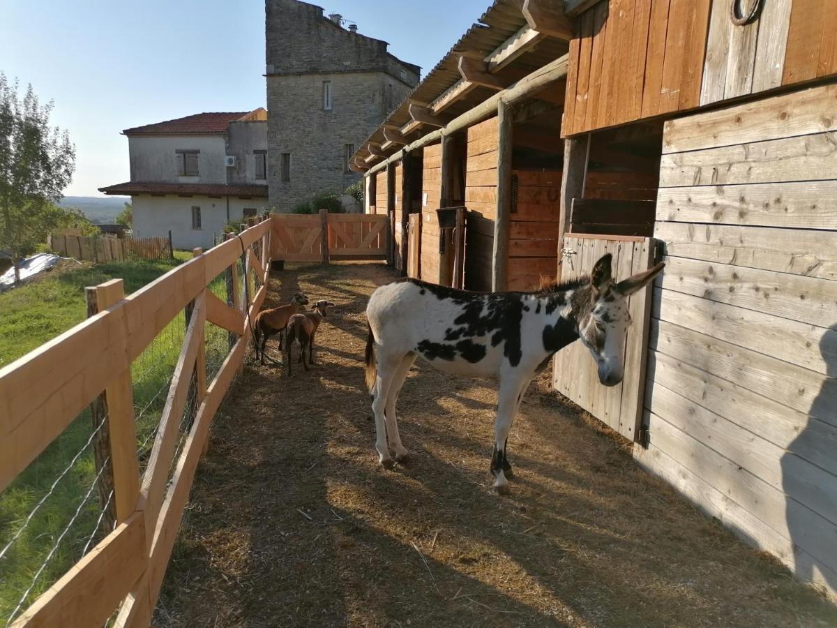 Villa Les Hauts Vallons Puylaroque Экстерьер фото